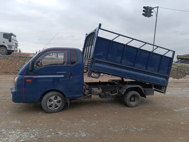 Рыбы: Вывоз мусора вывоз мусора вывоз мусора вывоз мусора вывоз мусора вывоз