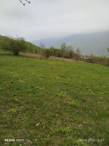 lokbatanda torpaq: 40 sot, Mülkiyyətçi, Bələdiyyə