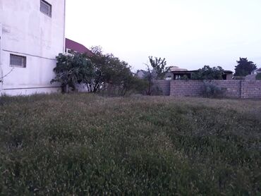 Torpaq sahələrinin satışı: 12 sot, Makler, Kupça (Çıxarış) — 6