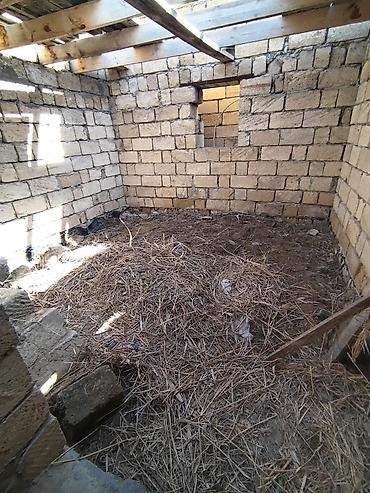 binə emlak: 2 sot, Mülkiyyətçi, Kupça (Çıxarış) — 5