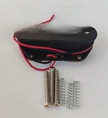 Gitare: MAGNETI ZA TELECASTER - CENA JE ZA KOMPLET | . Slanje po — 8