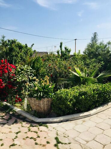 Bağ evlərinin kirayəsi: 100 kv. m, 2 otaqlı, Hovuzsuz — 15