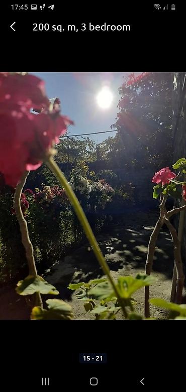 Günlük kirayə evlər: 200 kv. m, 3 otaqlı, Qaz, İşıq, Su — 16