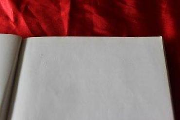 Knjige: NENAD RISTANOVIĆ STAPARSKI - JEVANĐELJE PO RADOVANU | Nenad — 8