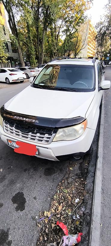 Subaru Forester: 2010 г., 2.5 л, Автомат, Бензин