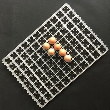 İnkubatorlar: Məhsul: 88-lik toyuq yumurtası üçün plastik inkubator/tray 63-lik -da lalafo.az — 6 İnkubatorlar: Məhsul: 88-lik toyuq yumurtası üçün plastik inkubator/tray 63-lik — 6