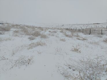 Продажа участков: 750000 соток, Для строительства, Красная книга — 10