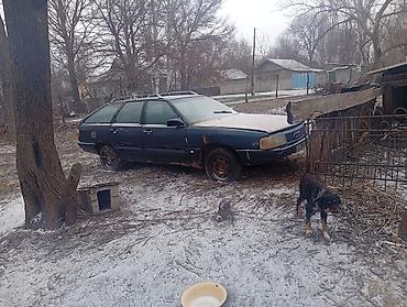 Audi: Audi 100 с прицепом Avant (C3) универсал, примерно конец 80-х – начало — 1