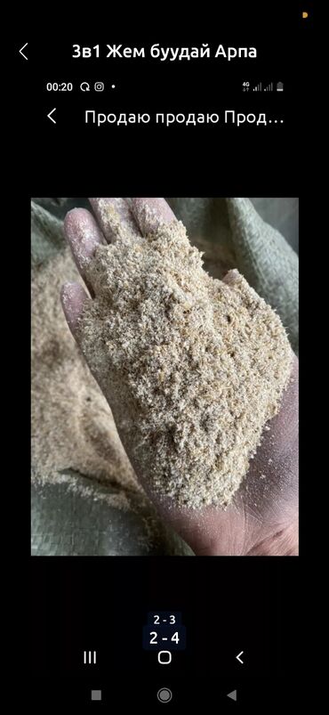 кормовая пшеница: Корм драбленый жем 3в1 (ячмень пшеница кукуруза) 17сом мешках 2в1