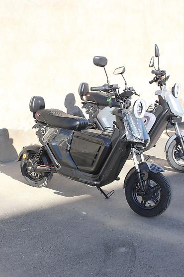 elektrikli scooter tap az: NİU - 2350, 50 sm3, 2024 il — 2