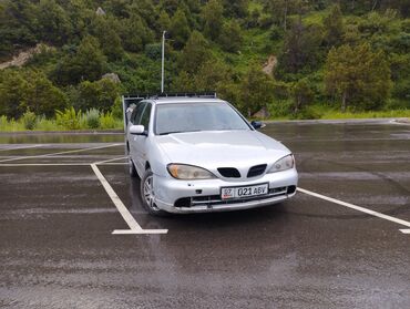 бампер нисан: Nissan Primera: 1999 г., 2 л, Механика, Бензин, Универсал