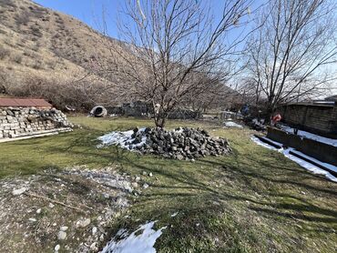Torpaq sahələrinin satışı: 12 sot, Kənd təsərrüfatı, Mülkiyyətçi, Kupça (Çıxarış) — 4