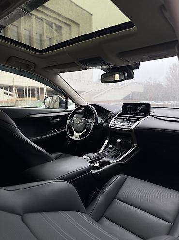 Lexus: Lexus NX: 2019 г., 2 л, Автомат, Бензин, Кроссовер — 8