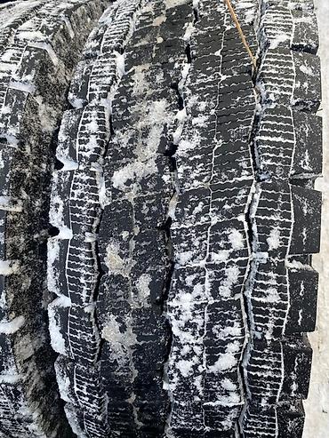 Тягачи: Тягач, DAF, Без прицепа — 8