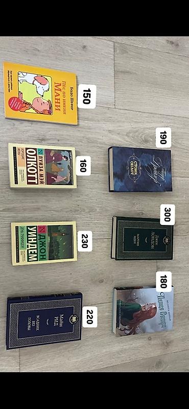ПРОДАЮТСЯ КНИГИ - Бодо Шефер «Пёс по имени Мани» — издание для детей