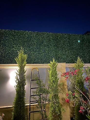 kələm gülü: 🌿 Yaşıl Hasar – Təbii Görünüş, Uzunömürlü Keyfiyyət! 🌿 🏗 Paslanmaz — 5
