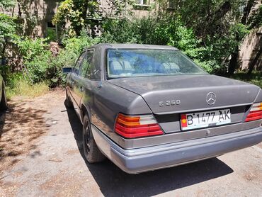мерседес бенз 124 дизель: Mercedes-Benz W124: 1992 г., 2.5 л, Дизель, Седан