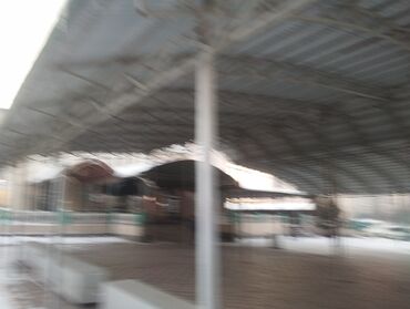 Сварка: Сварка | Навесы, Заборы, оградки Демонтаж, Бесплатная смета, Высотные работы — 3