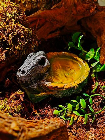 Зоотовары: 🌿 Украшения и декорации для аквариумов и террариумов 🌿 Продаю — 6