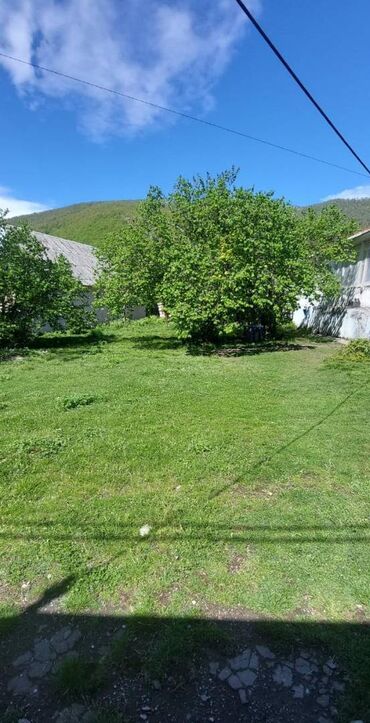 Günlük kirayə evlər: 1000 kv. m, 5 otaqlı, Qaz, İşıq, Su — 6