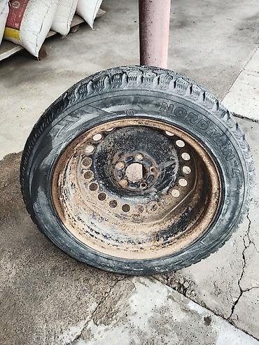 r17 225: Колеса в сборе 205 / 55 / R 16, Зимняя шипованная, Б/у, 1 шт, Легковые, Железные, отверстий - 5 — 4