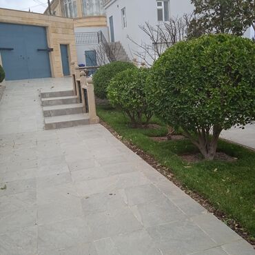 Bağbanlar: Profesional bağban xidməti ağac və kolların əkilməsi budanması -da lalafo.az — 18 Bağbanlar: Profesional bağban xidməti ağac və kolların əkilməsi budanması — 18