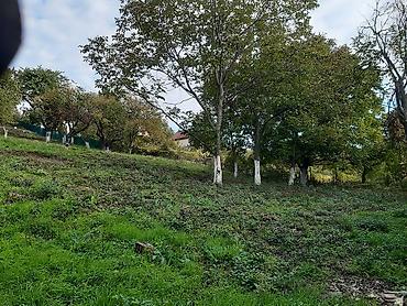Kuće na prodaju: Kuca 72 m2, plac, gradjevinsko zemljiste 1225 m2 Sovljak 2km od — 5