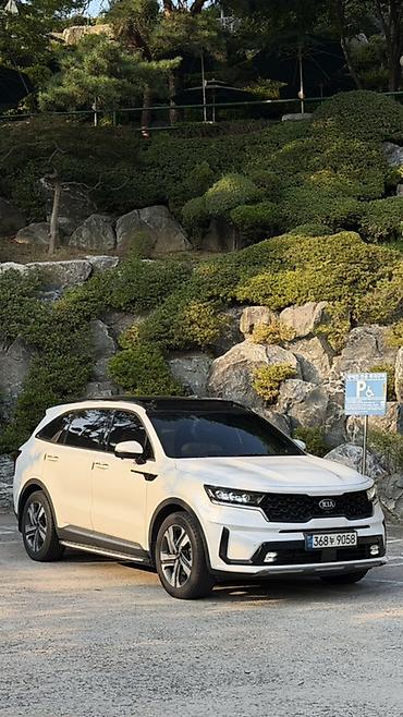 мотор морнинг: Kia Sorento: 2020 г., 1.6 л, Автомат, Гибрид, Кроссовер — 2