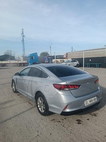 Hyundai: Hyundai Sonata: 2019 г. — 17