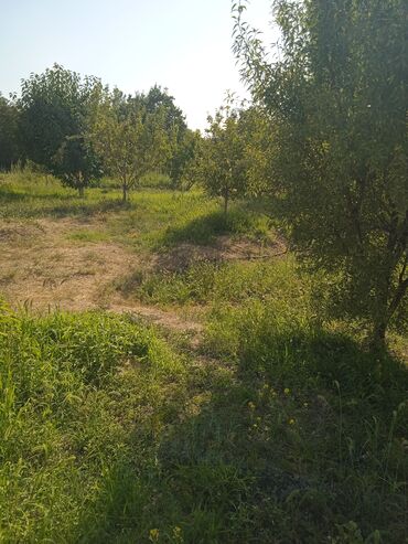 Продажа участков: 20 соток, Для сельского хозяйства — 8