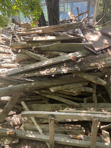 odun doğrayan: Ucar rayonu odunlar hamsi 50 m çoxdu