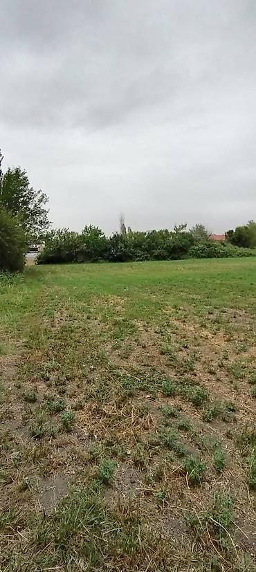 kiraye yolu ile satilan evler: 75 sot, Tikinti, Mülkiyyətçi, Kupça (Çıxarış) — 4