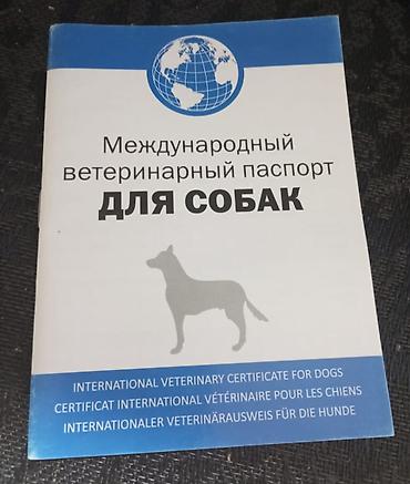 Зоотовары: Ветеринарный паспорт
Baytar heyvan pasportlari — 1