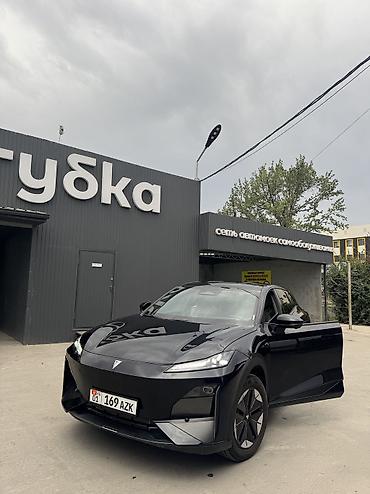 автомобильный люк: BYD : 2025 г., 1.6 л, Автомат, Электромобиль, Кроссовер — 10