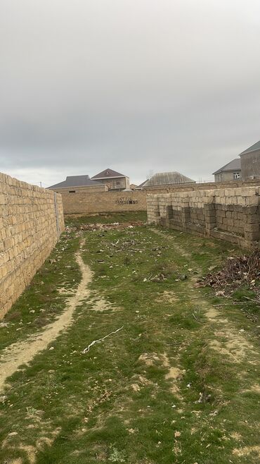 masazirda torpaq: 6 sot, Tikinti, Maklerlər narahat etməsin, Bələdiyyə