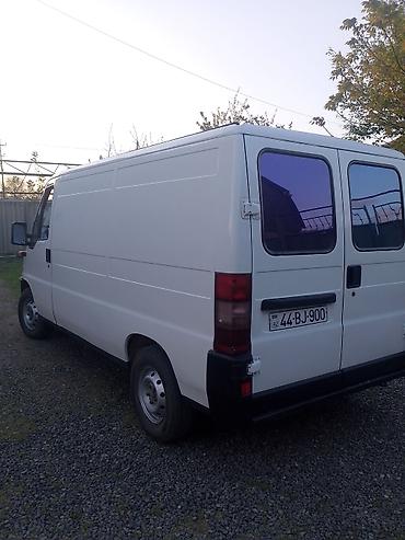Fiat: Fiat Ducato: 2 l | Mikroavtobus — 9