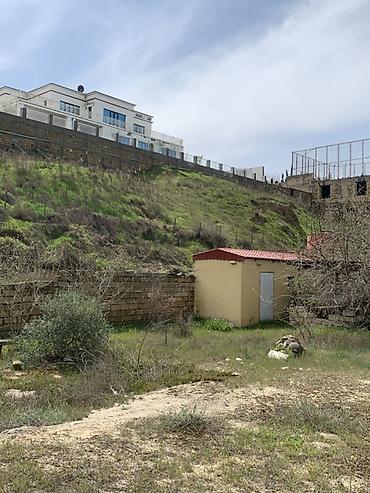 bartee: 6 sot, Tikinti, Mülkiyyətçi, Kupça (Çıxarış) — 8