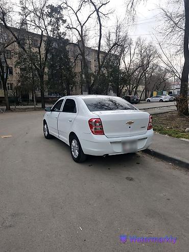 шевроле коболт: Chevrolet Cobalt: 2024 г., 1.5 л, Автомат, Бензин, Седан — 6
