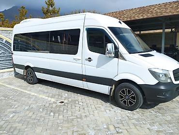 чернитель одежды: Бус на заказ Пассажирские микроавтобусы Mercedes‑Benz Sprinter — 2