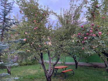 Продажа домов: Дача, 1 м², 1 комната, Собственник, Косметический ремонт — 6