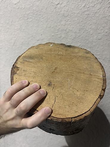 Şalban: Təbii ağacdan dairəvi kəsik (taxta dilim) - Material: bərk ağac — 2