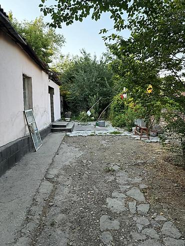 кафе жибек жолу: 4 соток, Бизнес үчүн, Кызыл китеп, Техпаспорт, Сатып алуу-сатуу келишими — 5