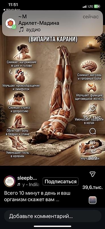 Массаж: Массаж | Дарылоочу | Консультация — 4