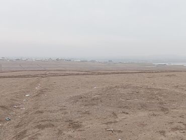 Продажа участков: 1300 соток, Для сельского хозяйства, Договор купли-продажи — 22