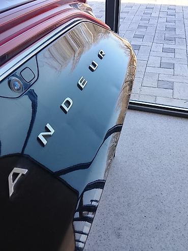 lining pantera: Крышка багажника Hyundai Grandeur (лэйтбар) - Оригинальная задняя — 3
