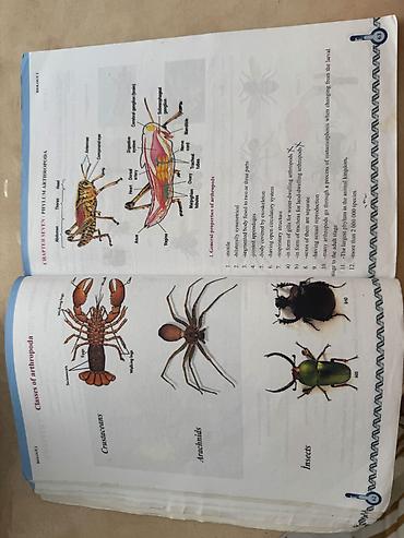 Книги и журналы: Məhsul: Biology II – 8 (Biology Series) dərsliyi Təsvir: - “İ” üçün — 3