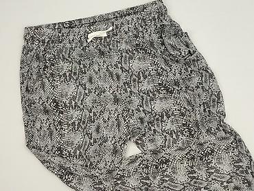 papillonne: Legginsy rozmiar S — 1