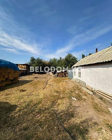 село ленинск: 🏠Продается дом в с. Петровка Верхняя зона, от трассы - 500м 🟡Саманный — 2