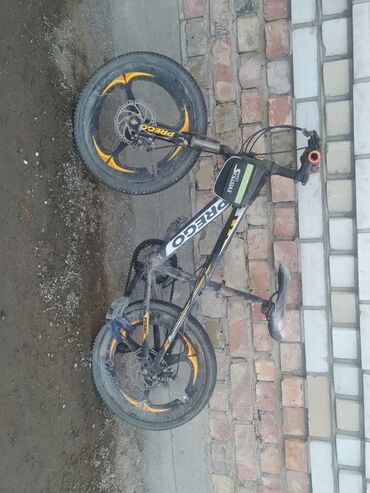 Другой транспорт: Другой транспорт — 12