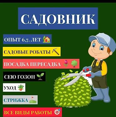 арба: Садовник. Опыт 30 лет. Ищу работу в частных загородных домах дачах — 1